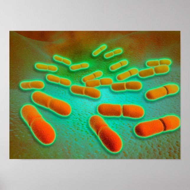 Poster Vue Microscopique De Listeria Monocytogenes 3 (Devant)