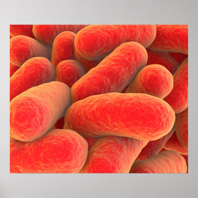 Poster Vue Microscopique Des Bactéries 4 (Devant)