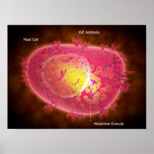 Poster Vue Microscopique D'Une Cellule Mâle