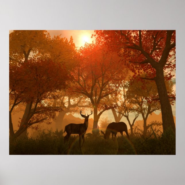 Poster Vue ordinaire (Devant)