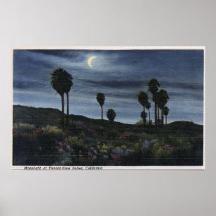 Poster Vue sur la CalifornieLune à vingt-neuf Palms