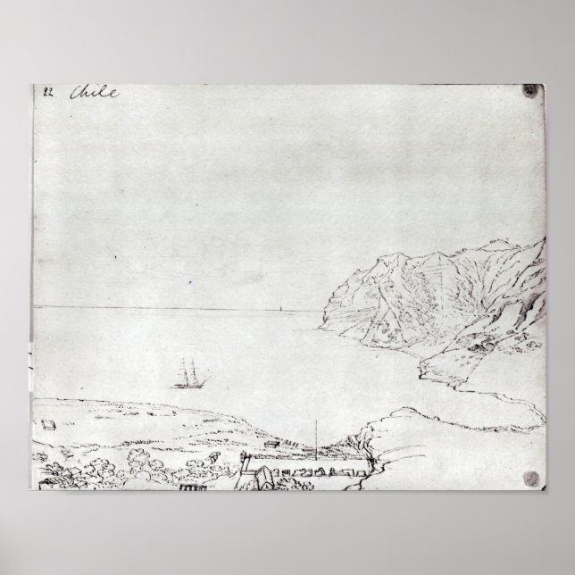 Poster Vue sur la côte du Chili (Devant)