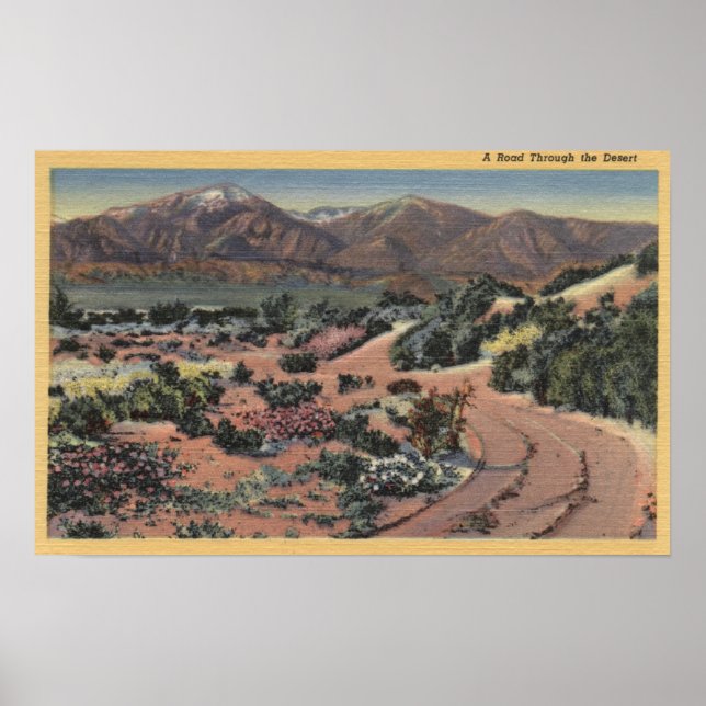 Poster Vue sur le désert de Californie (Devant)