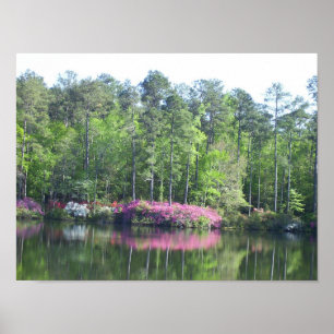 Poster Vue sur le lac