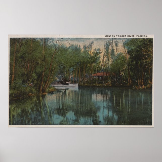 Poster Vue sur l'eau de Tomoka River & Marsh, Floride (Devant)