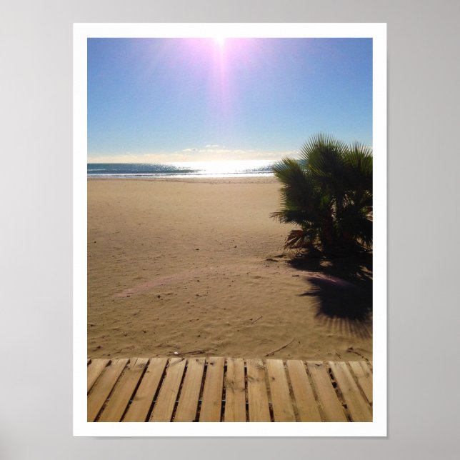 Poster Vue sur l'océan, plage, palmier, promenade (Devant)