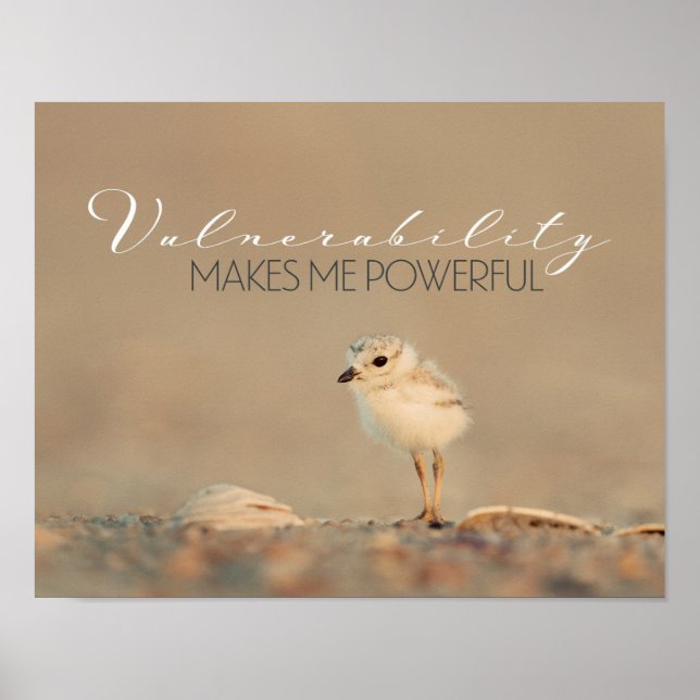 Poster Vulnérabilité (Devant)