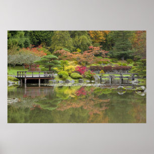 Poster WA, Seattle, arboretum du Washington Park, 3