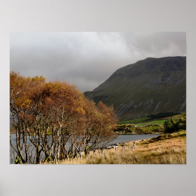 POSTER WALES (Devant)