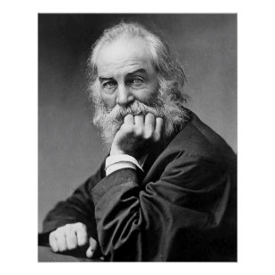 Poster Walt Whitman Portrait Essentiel, âge 50 Parfait