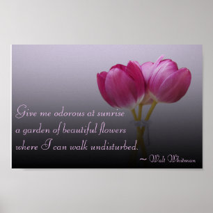 Poster Walt Whitman Tulips