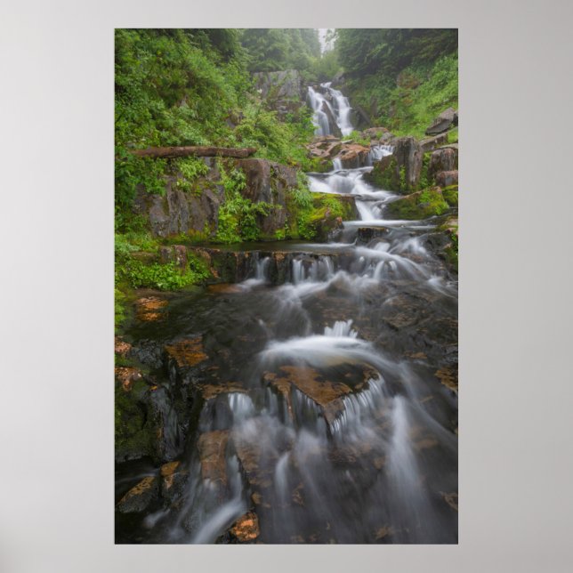 Poster Washington, Parc national du mont Rainier 2 (Devant)