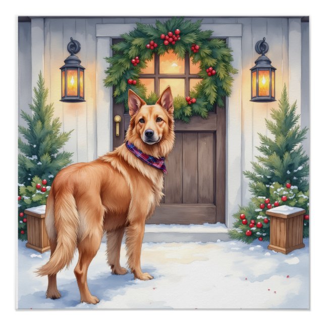 Poster Watercolor Belgian Laekenois Farmhouse Christmas (Devant)