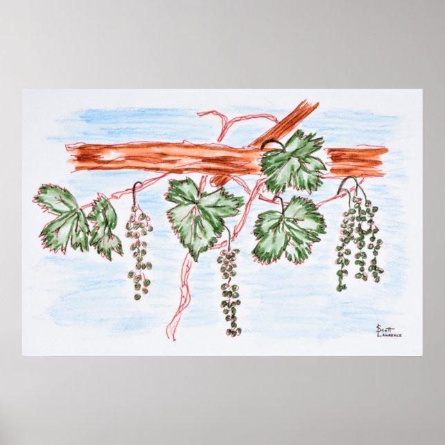 Poster Watercolor of Vines with Grapes | France (Devant)