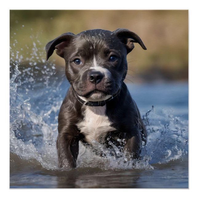 Poster "Wave Chaser : Un chiot robuste en jeu dans l'océa (Devant)