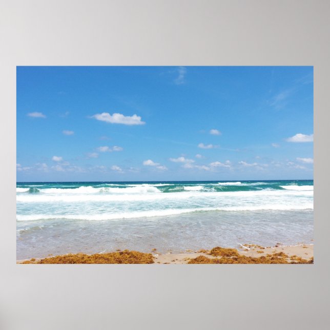 POSTER WAVES BRINGING IN THE SEAWEED (Devant)