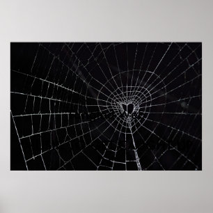 Poster Web embrouillé