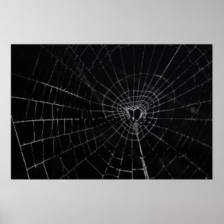 Poster Web en bande