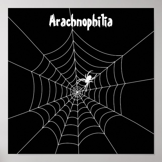 Poster Web Spider (Devant)