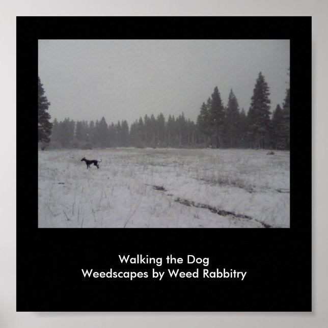Poster WeedScapes par Weed Rabbitry (Devant)