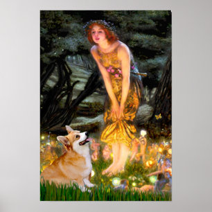 Poster Welsh Corgi Pembroke -  Mi-journée