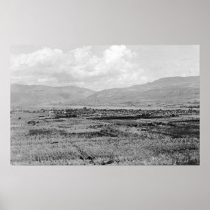 Poster Wenatchee, WA Town View et Orchard Photographie