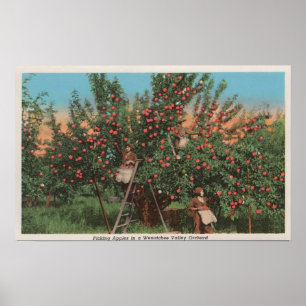 Poster Wenatchee, WAView de Apple Orchard & Workers