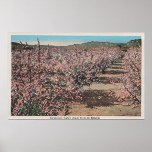 Poster Wenatchee, WAView des pommiers en fleurs