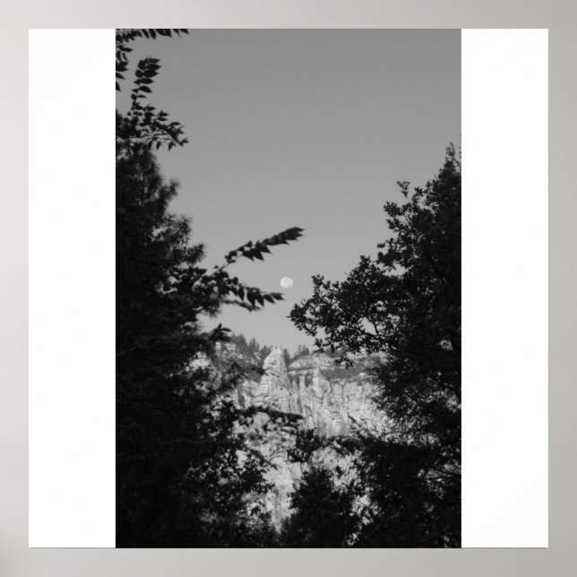 Poster West Fork (Devant)