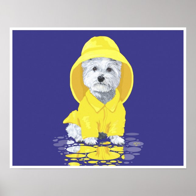 Poster West Highland White Terrier Avril Douches (Devant)