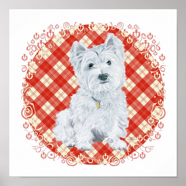 Poster Westie sur Tartan (Devant)