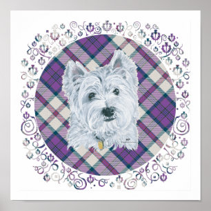 Poster Westie sur Tartan