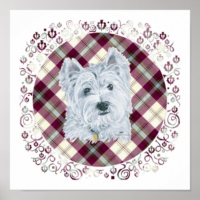 Poster Westie sur Tartan (Devant)