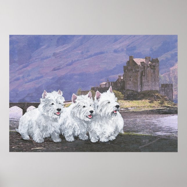 Poster Westies en Écosse (Devant)