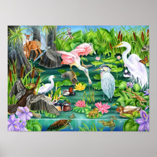 Poster Wetland Wonders