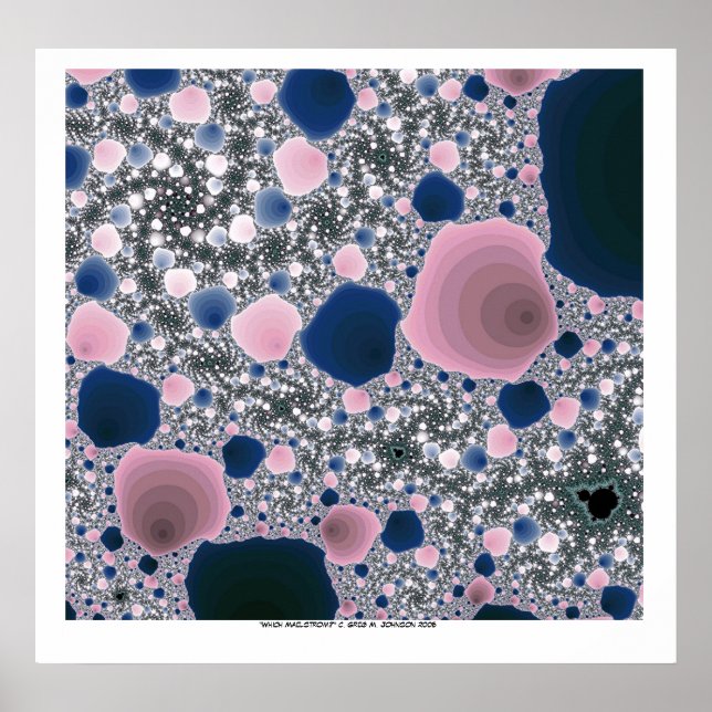 Poster Which Maelstrom? (Devant)