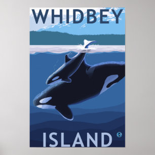 Poster Whidbey Island, Washington Orca et Calf