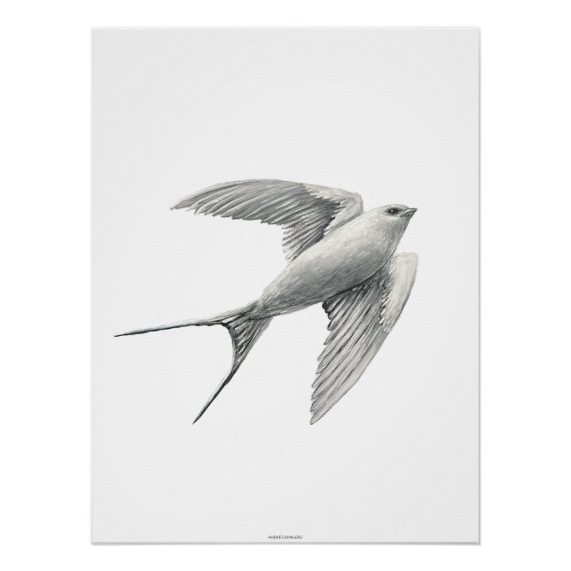Poster White Swallow (Devant)