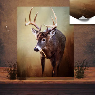 Poster White Tail Buck