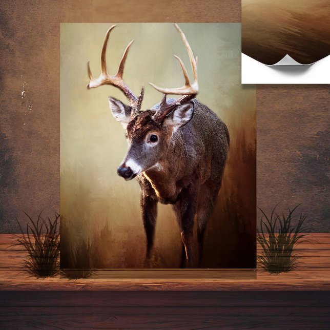 Poster White Tail Buck (Créateur téléchargé)