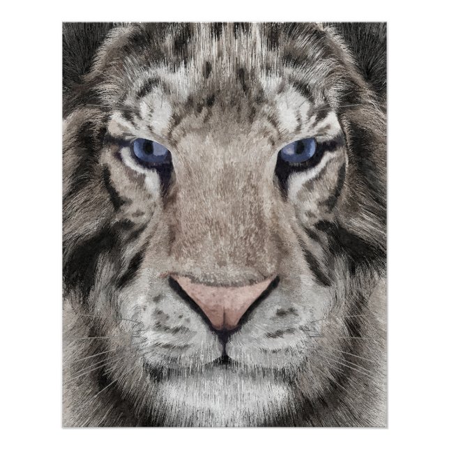 Poster White Tiger Head  (Devant)