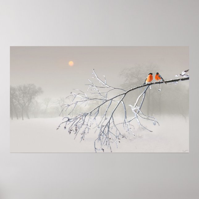 Poster Whiteout (Devant)