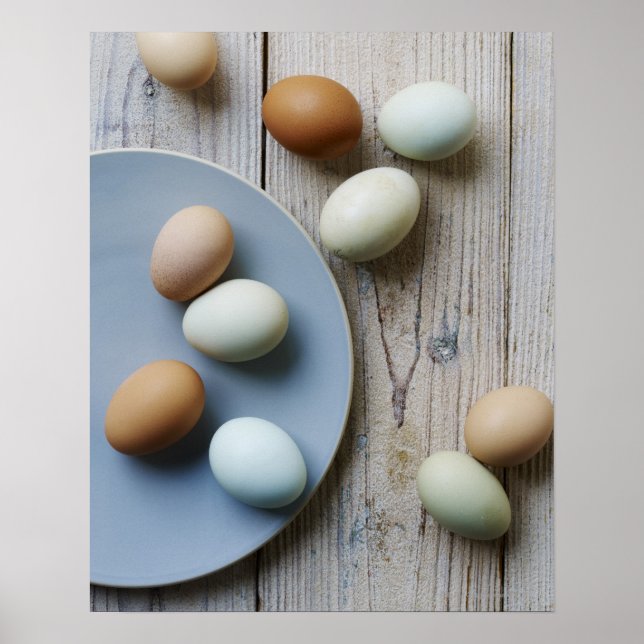 Poster Whole eggs (Devant)