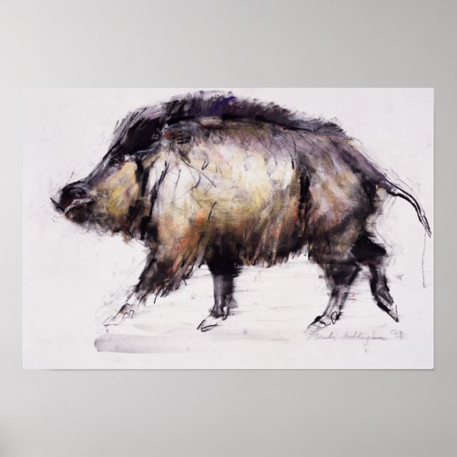 Poster Wild Boar 1999 (Devant)