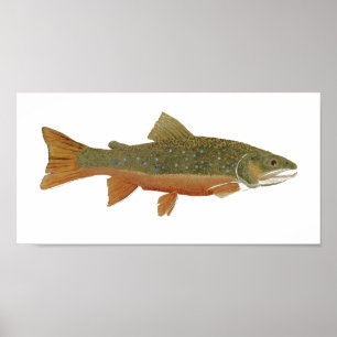 Poster Wild Brook Trout