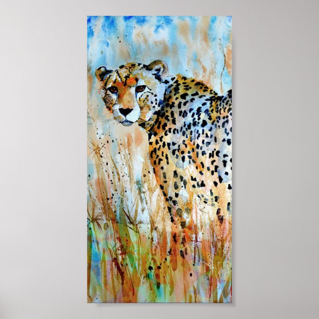 Poster - Wild Cheetah (Devant)