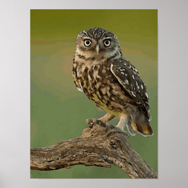 Poster Wild Oiseau de hibl (Devant)