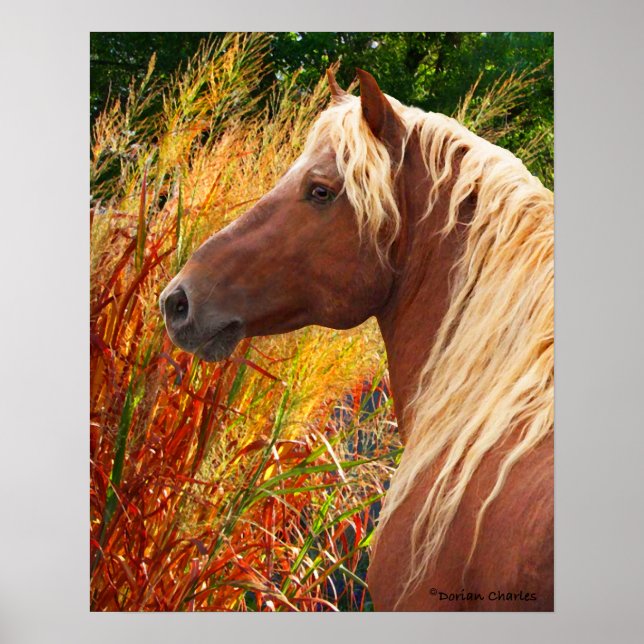 Poster "Wildfire" (Devant)