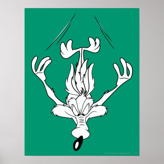 Poster Wile E. Coyote Dive Bomb (Devant)