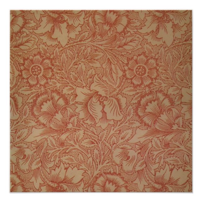 Poster William Morris Fleur de pavot rose Floral (Devant)